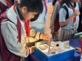 中学科技制作 感受科技之光，提升科技素养——望江初中举行科技研学活动